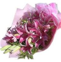 Buket - 1.800,00 TL