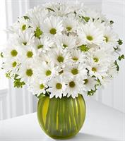Beyaz Kırçiçekleri - 780,00 TL